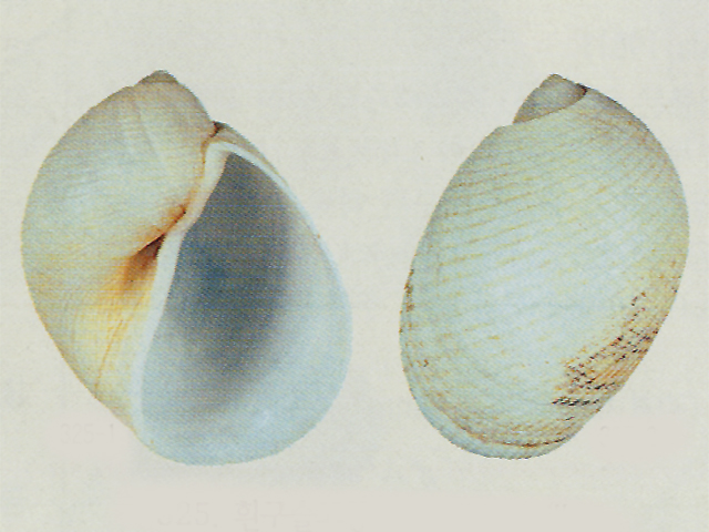 990441474_aedf73fa_0200008216.jpg